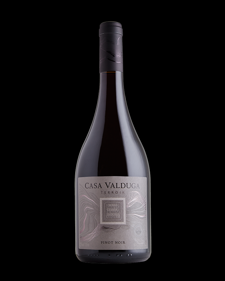TERROIR